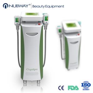 China Fat Freeze Cryotherapy Vaccum Equipment , Vertical Cryolipolysis Slimming Machine factory