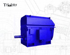 China Long Lifespan High Voltage AC Motor Air Cooled For Industrial Needs factory