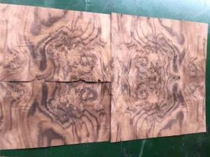 China 0.6mm Good Quality Walnut Burl Veneer for Furniture/Cabinet usage factory