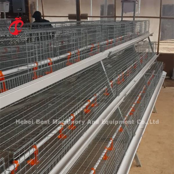 A Type Broiler Battery Cage Galvanized High Strength Poultry Broiler Cage Iris