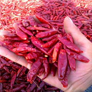 China 4-7cm Crushed Chilli Peppers Bold Spice In Convenient 25kg/Ctn factory