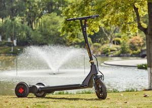 China Precursor Driving ARD 202 City Commuter Scooter factory
