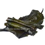 Umami Rich Green Kelp Sprouts , Kombu Sea Kelp For Salads Soups Asian Foods