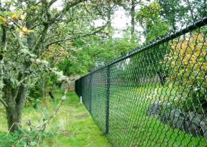 China 65mm x 65mm x 4.00mm black pvc coated chain wire fence for sale factory