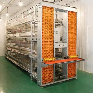 China Q235 Steel Automatic Poultry Farm Equipment Chicken Layer Cages For Laying Hens factory