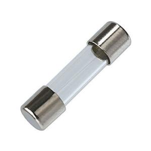 China 250mA 250V 5x20mm Fast-Acting Glass Fuse factory