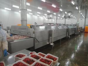 China 300kg/Hour Ultra Low Mesh Belt Tunnel Freezer 400kg/H 25Kw For Chicken Oem factory