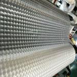 Packaging 3D Lenticular Film Moisture Proof Transparent Holographic Film