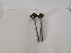China 3489-EC Exhaust Valve Audi / passat / golf 1.8 20v Turbo Agu 97 / Und factory