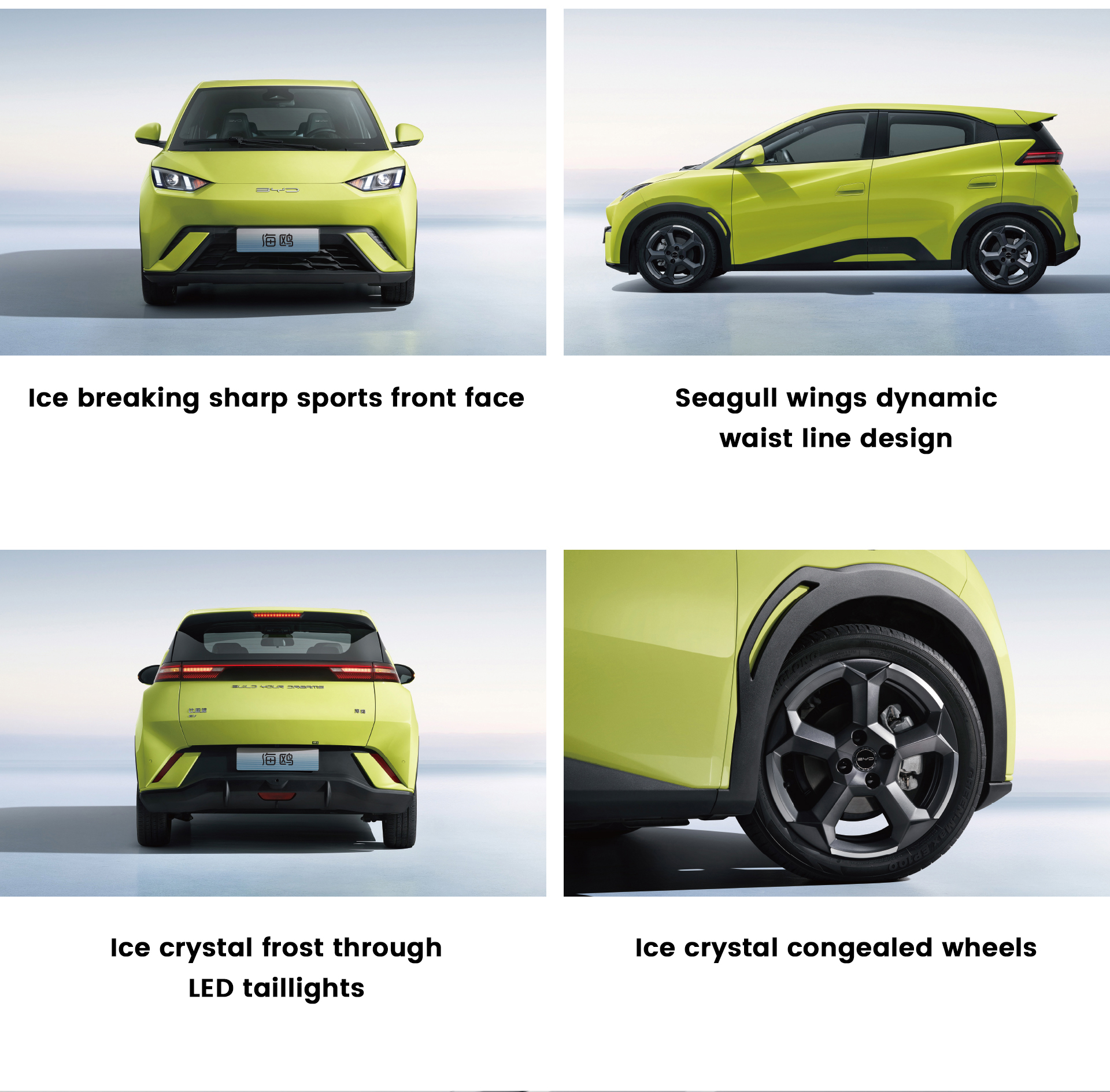 Distributors Byd Seagull 405 Km Battery Electric Vehicle Customization With 100% Electric Energy Type