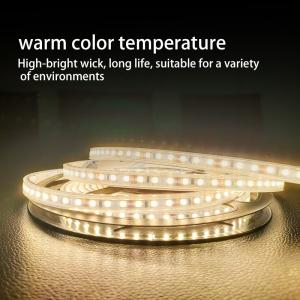 China Low Voltage SMD 2835 LED Strip Waterproof Casing UL SAA TUV CE Certified factory