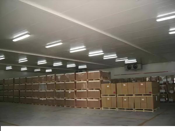 Automatic Defrosting Industrial Cold Room Equipment For Any Size Steel Plate