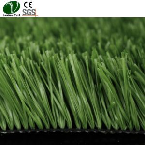 China Synthetic Soccer Field Artificial Turf PE Monofilament Material SGS Approved on sale