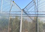 Rose Cherry Tomato Plastic Cover Greenhouse Single Span With Hydroponics System