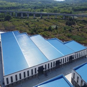 Prefab Steel Structure Warehouse with Large Span and Crane Support