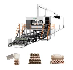 China Recycling Waste Paper Egg Tray Machine Automated High Speed With Metal Dryer factory