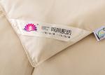 Adult Polyester Hollow Fiber Filling 200*230cm Fiber Quilts