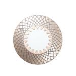 243737 - CLARK MICHIGAN / DANA SPICER - DISC FRICTION