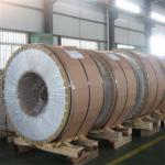 Stainless Steel 310 Hot Rolled Stainless Steel Coil Cold Rolled 2030mm