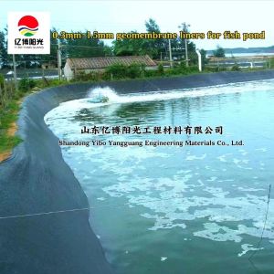 0.5mm HDPE Geomembranes The Ultimate Solution for Aquaculture Fish Shrimp Pond