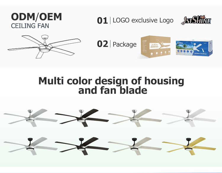 Big Room 65 Inches 5 Blades LED Ceiling Fan with Remote Control and 110-240V/50Hz-60Hz