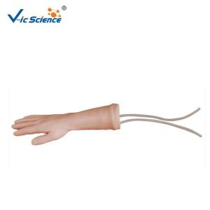 China Medical Science Human Training Hand Model Training Nursing Manikins Model factory
