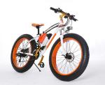 48v Electric Mountain Bike , Front Disc Brake Electric Powered Bicycle Brushless