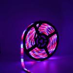 SMD2835 Dreamcolor RGBIC Led Strip Light 60LEDs/M