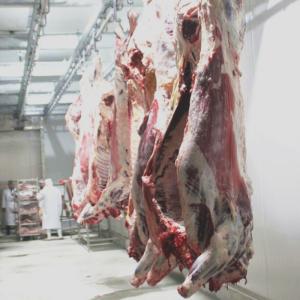 China ISO9001 CE Slaughterhouse Cow Machine Stainless Steel 304 Cow Feet Hair Removing Machine factory