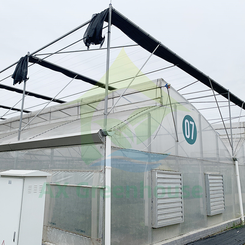 Tropical Plastic Film Multi-Span Poly Tunnel Greenhouse With Enhanced Cooling Systems
