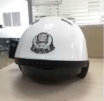 Temperature measurement Smart Helmet with Facial recognition, vehicle license