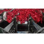 High Accuracy Automatic 50 Pieces 15pieces 5pieces Balloon Weighing Multihead
