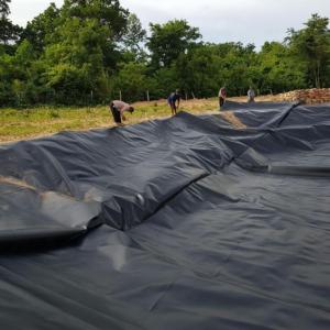 China Geomembrane Pond Liner Industrial Design Style Fish Tank for Environmental Protection factory