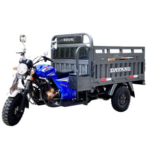 China Cargo Supply Motorized Tricycles Van Standard Size Three Wheel Petrol Motorcycles factory