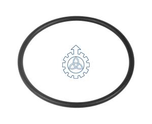 China O-ring 17297380 factory