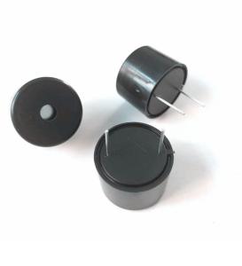 China High Sounds 30mm 100dB Electronic Alarm Buzzer 12V DC Waterproof factory