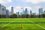 50mm Artificial Turf Grass Football Pitch 11000 Dtex Abrasion Test