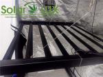 10V Horticulture LED Grow Lights