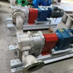 Stable Antiwear Food Waste Sludge Lobe Pump , Multifunctional Lobe Rotory Pump