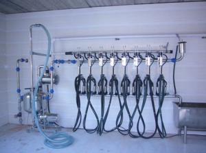 China Fish bone Pipeline Herringbone Milking System 4KW 380V / 50Hz factory