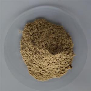 China Food Grade health care product gotu kola extract factory