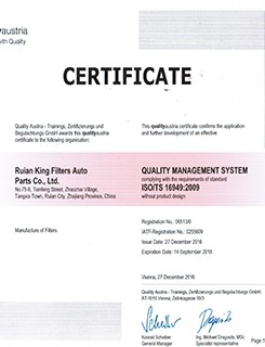 1132401320 Truck Fuel Filters AF25372 Polyester Fiber Car Intake Air Filter