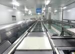 Chocolate Wafer Cookies Food Manufacturing Equipment / Packaging Equipment