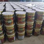 Water Tightness Watertight 0.3Mpa Industrial Pu Waterproofing Coating Durable