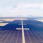 OEM / ODM Solar Ground Mounting Systems Plant Pile Natural Color