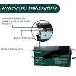 1800WH Solar Lithium Ion Battery Pack 12v 100ah 150ah Lfp Car Battery For