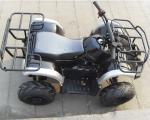 Automatic Clutch 125CC Youth Racing ATV Utility Vehicles 124 Displacement