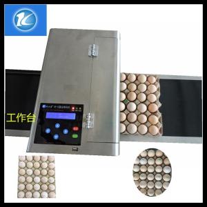 China Quality Assure Best Quality Egg Inkjet Printer / Blue Ink Printing Machine / Red Edible Ink Printing Equipment factory