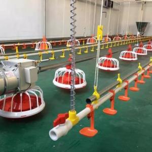 China Galvanized Pipe Poultry Feed Line 220V 380V Pan Feeding System factory