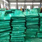 LDPE Coated Blue PE Tarpaulin for Truck Cargo Covering Waterproof PVC Tarpaulin